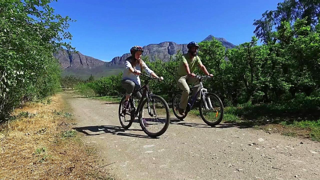 Vindoux Tree House Guest Farm & Casa de hóspedes Tulbagh
